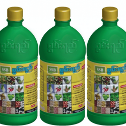 AI-0001-- Vermi Liquid တီကျစ်ရွက်ဖျန်းအားဆေးရည် (1x6) pk