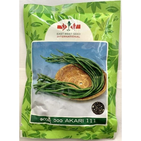 AI-0054 -Akari 111( ဧကရီ ၁၁၁) ပဲတောင့်ရှည်မျိူးစေ့