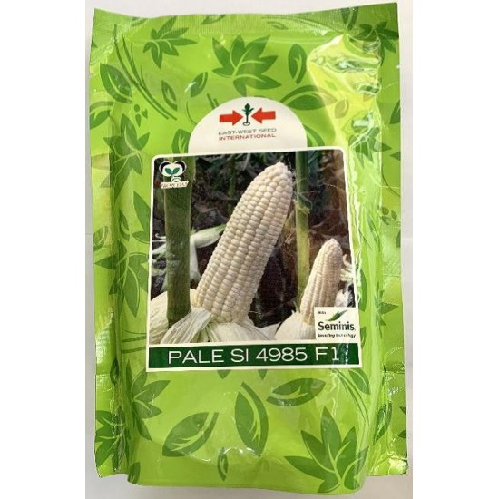 AI-0060-Pale Si (ပြောင်းစေး)မျိူးစေ့