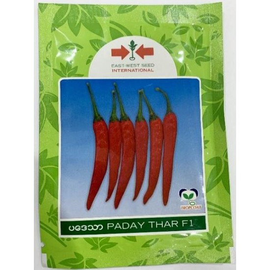 AI-0063-Paday Thar F1 (ပဒေသာငရုတ်စပ်)မျိူးစေ့