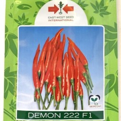 AI-0067-Demon 222(ငရုတ် မိုးထောင်)မျိုးစေ့