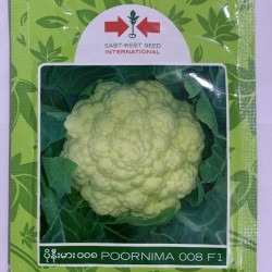 AI-0073-Poornima 008 F1 (ပန်းဂေါ်ဖီ)