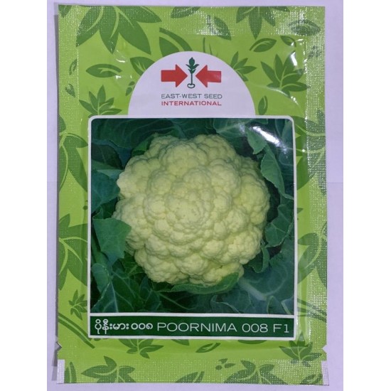 AI-0073-Poornima 008 F1 (ပန်းဂေါ်ဖီ)