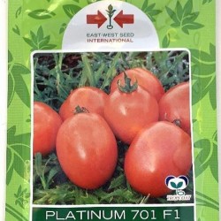 AI-0074-Platnium 701 F1 (ခရမ်းချဉ်)
