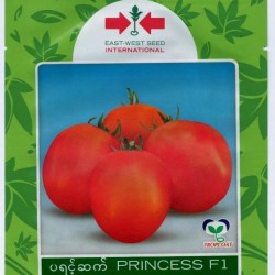 AI-0078-Princess 21 F1(ခရမ်းချဉ်)