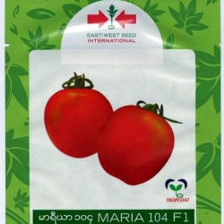 AI-0079-Maria 104 F1 (ခရမ်းချဉ်သီး)