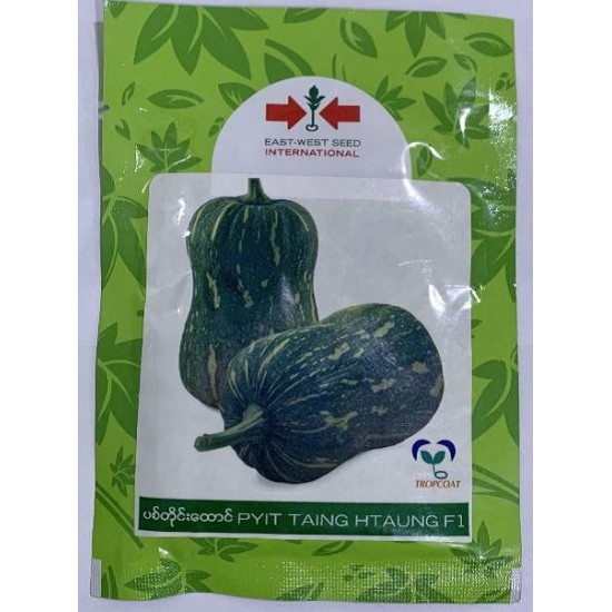 AI-0084-MOS Phit Taing Htaung F1 (ဖရုံသီး) AI-0084-MOS Phit Taing Htaung F1 (ဖရုံသီး)