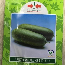 AI-0086-Benyue 619 F1 (ကျောက်ဖရုံ)