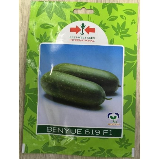 AI-0086-Benyue 619 F1 (ကျောက်ဖရုံ)