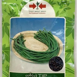 AI-0088-Tip (ပဲတောင့်ရှည်)