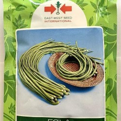 AI-0089-Fola (ပဲတောင့်ရှည်)