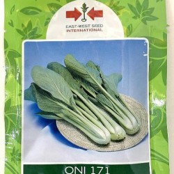 AI-0091-Oni 171 (မုန်ညှင်းရွက်)