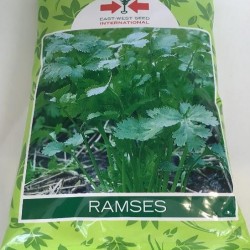 AI-0092-Ramses (နံနံပင်)