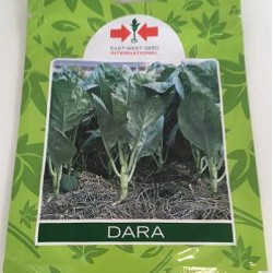 AI-0093-Dara (ကိုက်လန်)