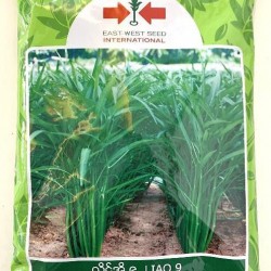 AI-0094-Liao 9(ကန်စွန်း)