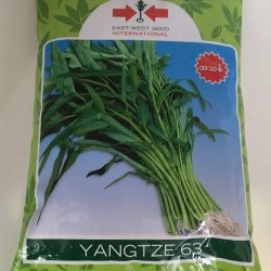 AI-0095-Yangtze (ကန်စွန်း)