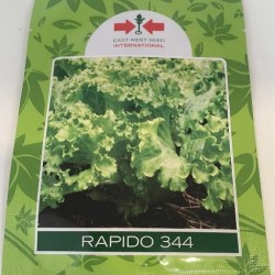 AI-0096-Rapido 344 (ဆလပ်ရွက်)