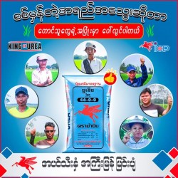 AI-0016- ပု‌လဲ‌ဓာတ်‌မြေဩဇာUREA 46%