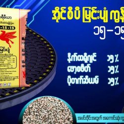 AI-0017-ကွန်ပေါင်းဓာတ်မြေဩဇာ NPK 15-15-15-7S  