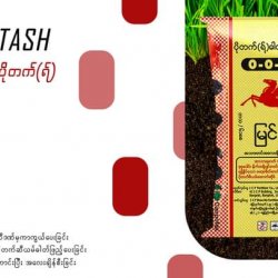 AI-0019-ပိုတက်(ရ်)ဓာတ်မြေဩဇာ 0-0-60