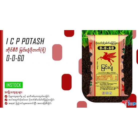 AI-0019-ပိုတက်(ရ်)ဓာတ်မြေဩဇာ 0-0-60 AI-0019-ပိုတက်(ရ်)ဓာတ်မြေဩဇာ 0-0-60