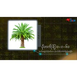 AI-0019-ပိုတက်(ရ်)ဓာတ်မြေဩဇာ 0-0-60