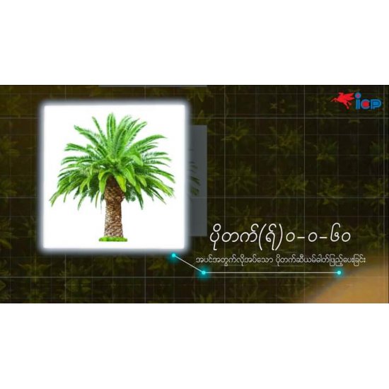 AI-0019-ပိုတက်(ရ်)ဓာတ်မြေဩဇာ 0-0-60 AI-0019-ပိုတက်(ရ်)ဓာတ်မြေဩဇာ 0-0-60