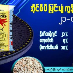 AI-0020-ကွန်ပေါင်းဓာတ်မြေဩဇာ NPK 21-7-18