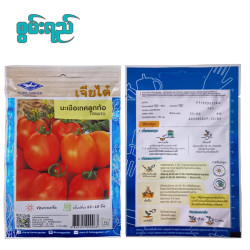 AI-0130 ခရမ်းချဉ် (ထိုင်းမျိူးစေ့) Tomato 